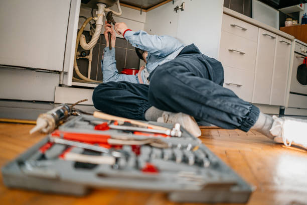 Best Emergency Plumber  in La Feria, TX