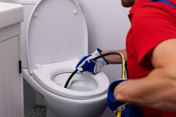 Best Commercial Plumbing Services  in La Feria, TX