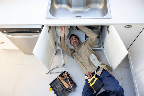 Best Affordable Plumbing Services  in La Feria, TX