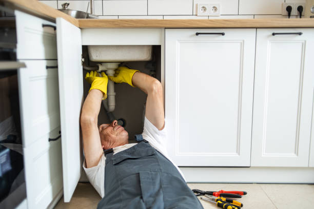 Best Affordable Plumber Near Me  in La Feria, TX